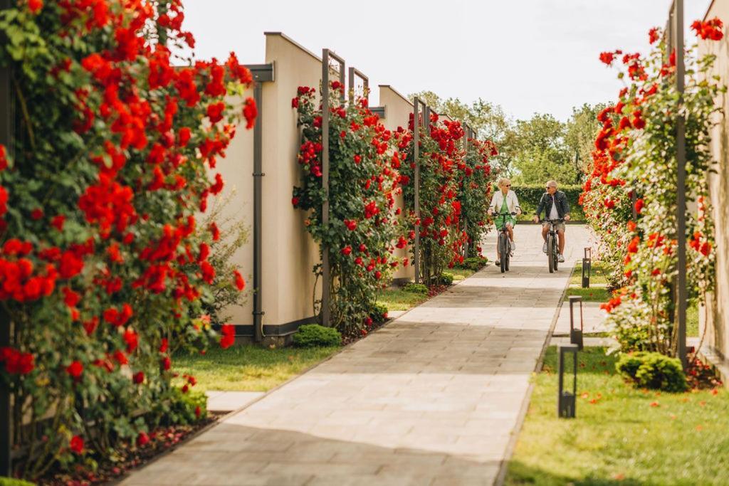 San Servolo Wellness - Adults Only